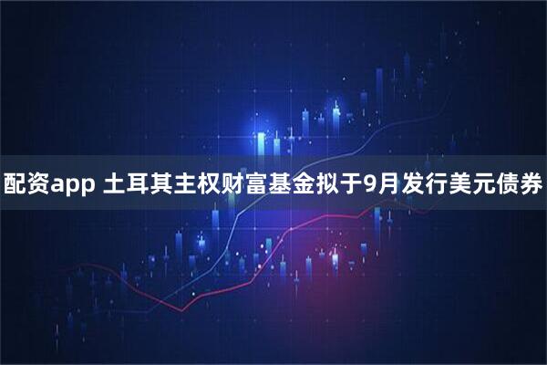 配资app 土耳其主权财富基金拟于9月发行美元债券